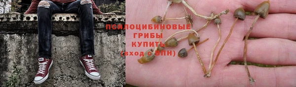 PSILOCYBIN Балахна