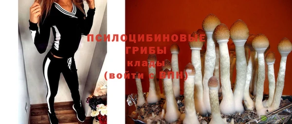 PSILOCYBIN Балахна