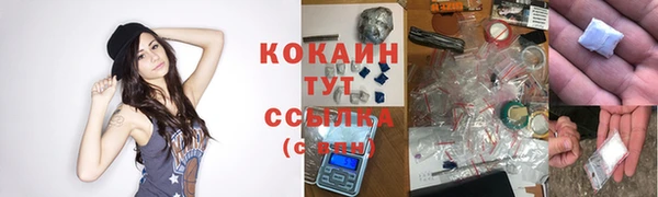 PSILOCYBIN Богородск