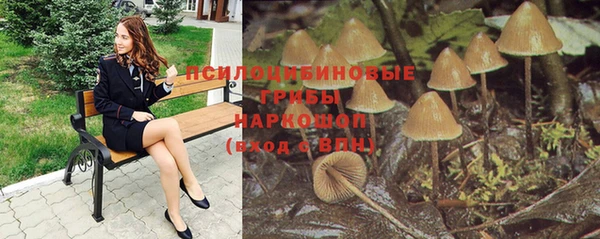 меф Богородицк