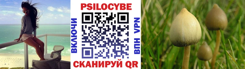 ОМГ ОМГ маркетплейс  Нестеровская  Галлюциногенные грибы мухоморы  где продают  